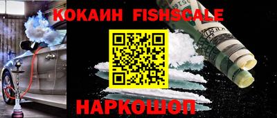 стаф Майкоп