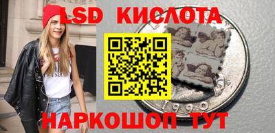 стаф Майкоп