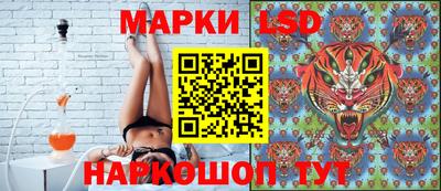 стаф Майкоп