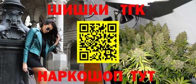 стаф Майкоп