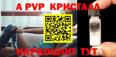 стаф Майкоп