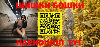 стаф Майкоп