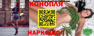 стаф Майкоп