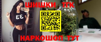 стаф Майкоп