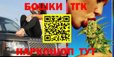 стаф Майкоп