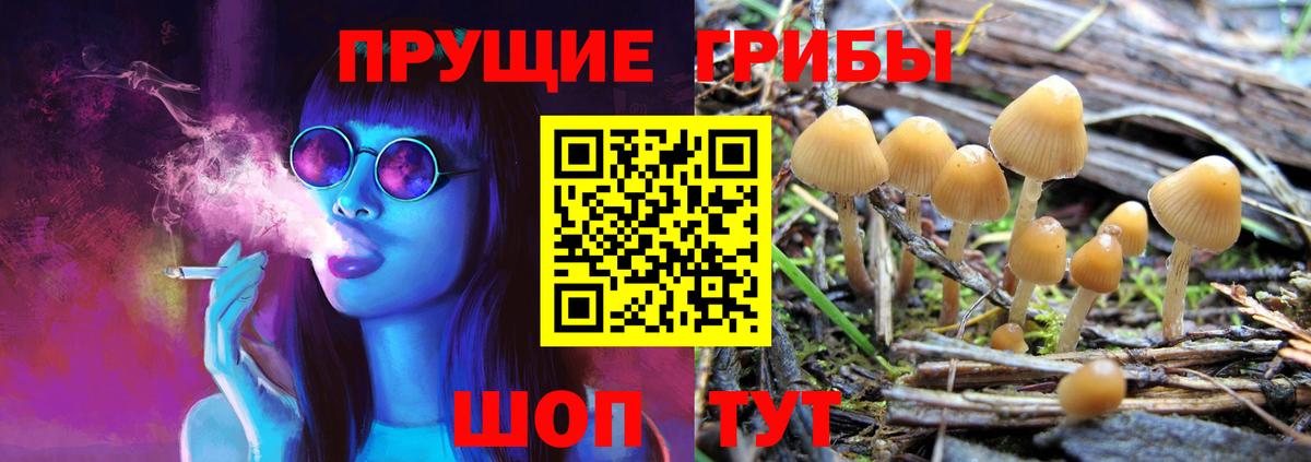 Галлюциногенные грибы мухоморы  Вход с VPN  Кизляр 